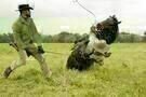 Django Unchained 13