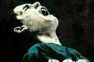 Dog Pound Plakat