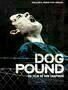 Dog Pound Plakat