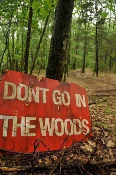 Don  t Go in the Woods
