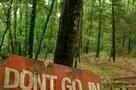 Don  t Go in the Woods