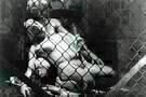 Don t touch my Holocaust