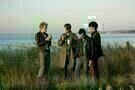 Dorfpunks