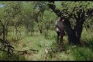 Double Freedom - Trailer