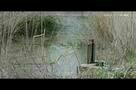 Dregs - Ausschnitt