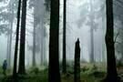 Dreileben - Eine Minute Dunkel  3