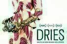 Dries - Poster