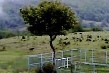 Ertränkt in Pixelfeldern – Die 63. Viennale