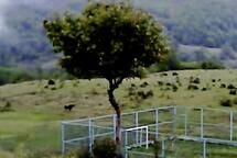 Ertränkt in Pixelfeldern – Die 63. Viennale