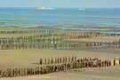 Dunkirk 1