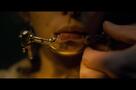 Earwig - Ausschnitt 1
