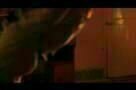 Egg and Stone - Trailer