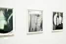 Eileen Quinlan  c  Italo Rondinella