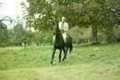 Ein fliehendes Pferd