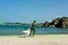 Ein griechischer Sommer 09