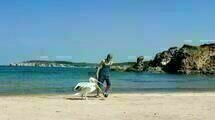Ein griechischer Sommer 09