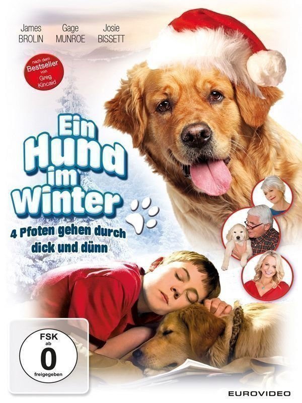 Ein Hund im Winter - Plakat