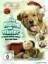 Ein Hund im Winter - Plakat