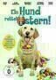Ein Hund rettet Ostern - Plakat