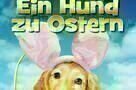 Ein Hund zu Ostern - Plakat