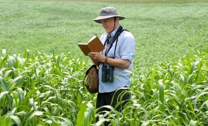 Ein Jahr vogelfrei 6