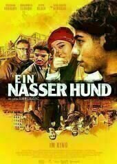 Ein nasser Hund