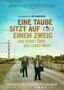 Eine Taube sitzt auf einem Zweig und denkt ueber das Leben nach - Plakat