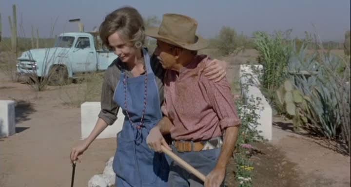 Eine Witwe mordet leise 5 Eine Witwe mordet leise 5