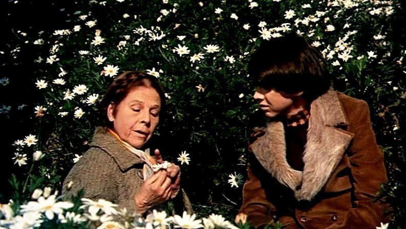 Eine Witwe mordet leise 6 Eine Witwe mordet leise 6