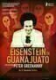 Eisenstein in Guanajuato - Plakat