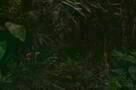 El auge del humano - Trailer