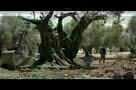 El Olivo - Der Olivenbaum - Trailer