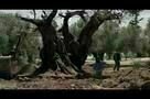 El Olivo - Der Olivenbaum - Trailer