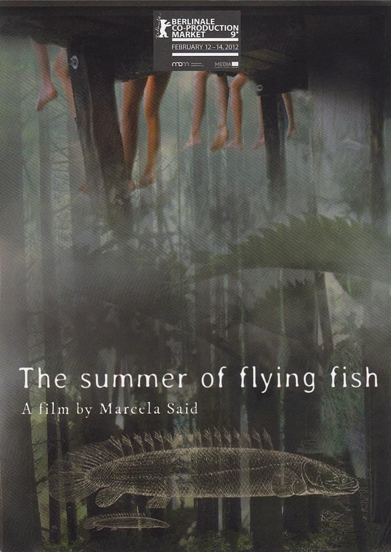 El verano de los peces voladores - Poster