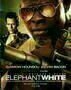 Elephant White - Poster