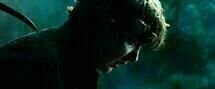 elm street 15 elm street 15