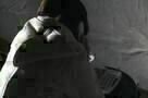 End of Animal - Trailer