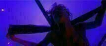 Enter the Void