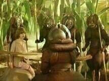 Erik im Land der Insekten