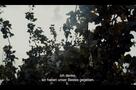 Exile Never Ends - Trailer
