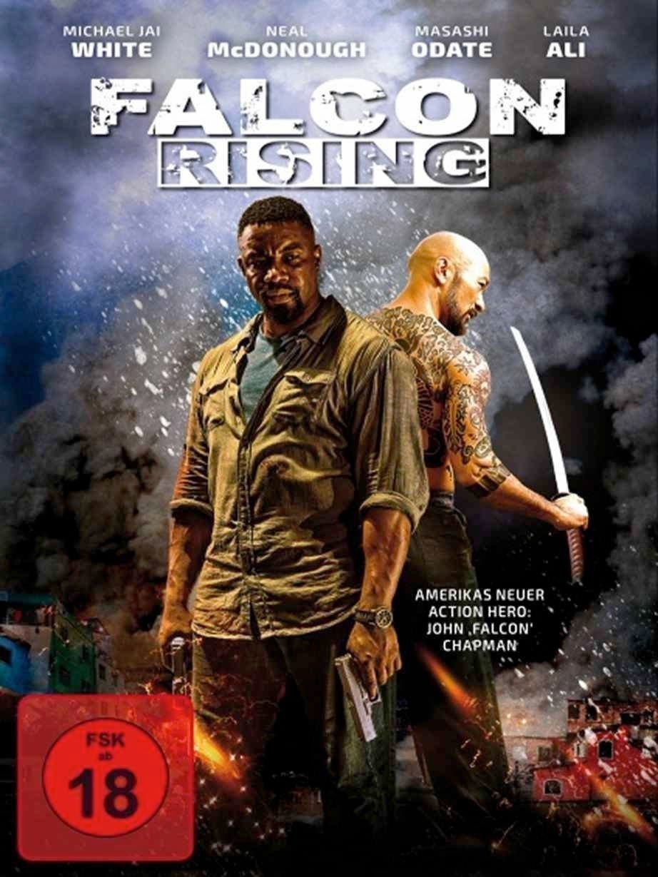 Falcon Rising - Poster
