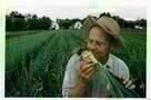 Farmer John