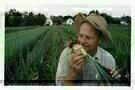 Farmer John