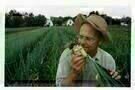 Farmer John