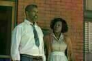 Fences 3
