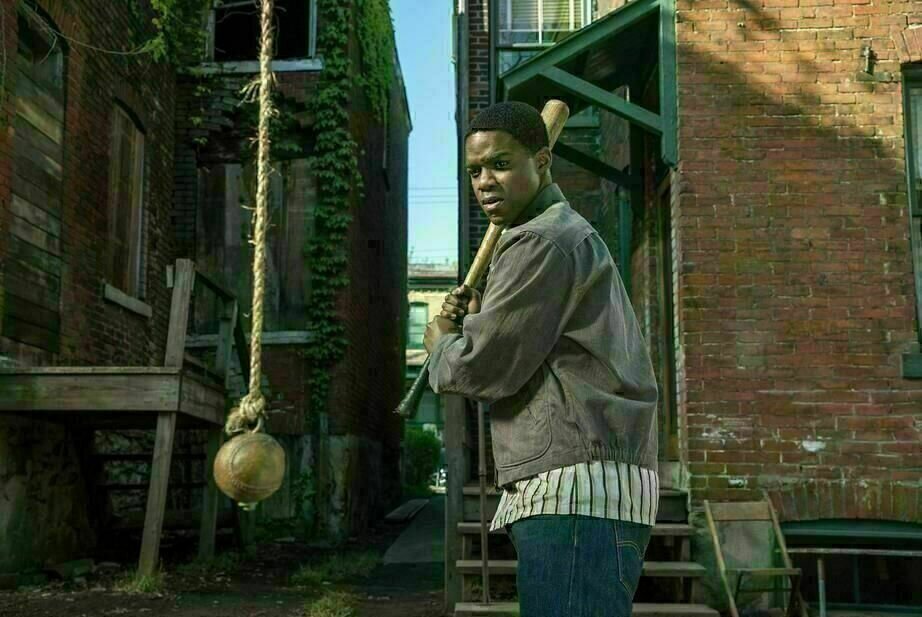 Fences 5