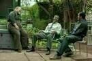 Fences 6