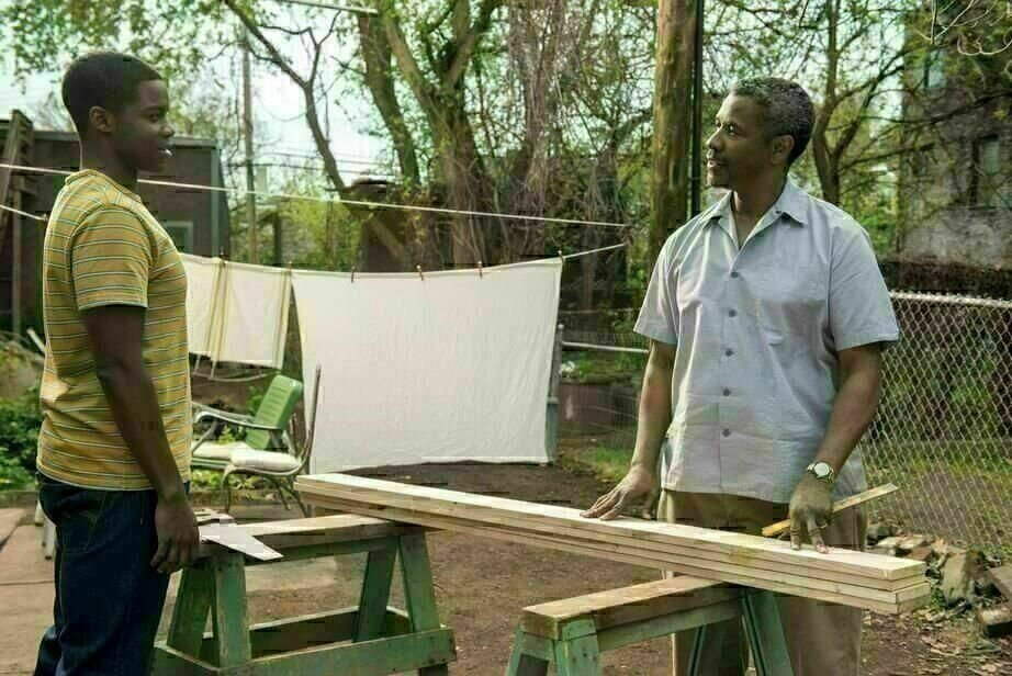 Fences 7