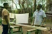 Fences 7