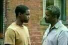 Fences 8